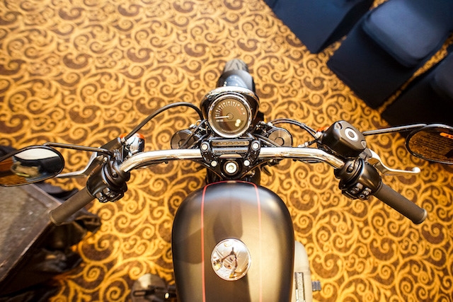 Harley-Davidson Roadster 2016 về Việt Nam giá gần 600 triệu đồng - ảnh 4