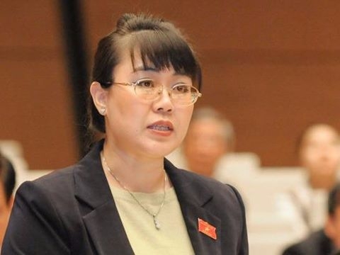 Nguyễn Thị Nguyệt Hường, Đại biểu quốc hội, khu công nghiệp, bất động sản