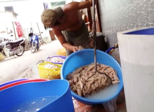 On lanh bi heo o Sai Gon hinh anh 1