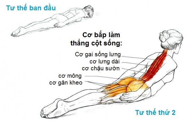 Bai tap giam dau lung cho nguoi ngoi nhieu hinh anh 1
