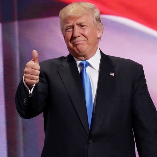Dang Cong hoa chinh thuc de cu Trump la ung vien tong thong hinh anh 1