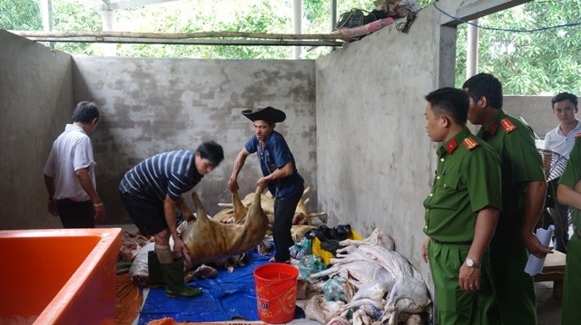 Phat hien thit de doi mau, hoi thoi sap tuon vao nha hang hinh anh 2