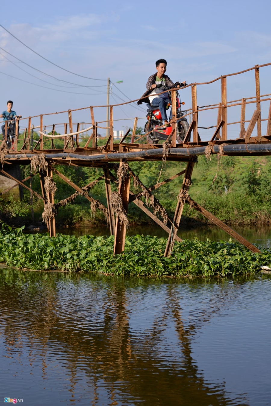 Cay cau tu than o Ha Noi hinh anh 3