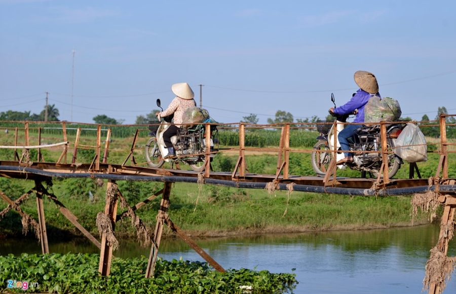 Cay cau tu than o Ha Noi hinh anh 7