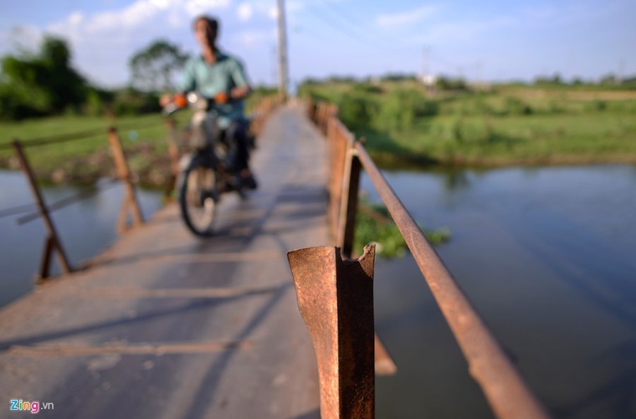 Cay cau tu than o Ha Noi hinh anh 10
