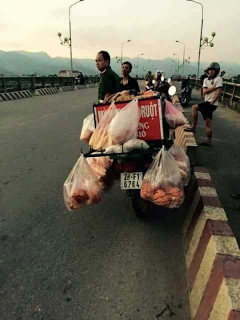 Điều tra vụ người đàn ông nhảy cầu nghi bị truy sát - Ảnh 1