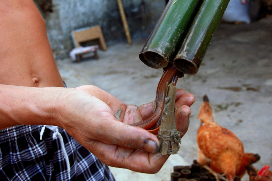 Nghề bắt lươn đồng ở xứ Nghệ hình ảnh 9 Nghe bat luon dong o xu Nghe hinh anh 9