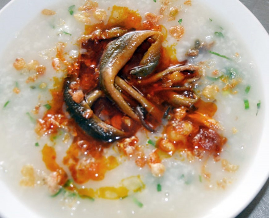 Nghe bat luon dong o xu Nghe hinh anh 16