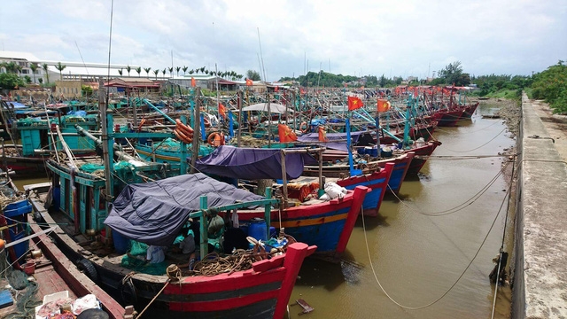  Tàu thuyền neo đậu tại Ngọc Hải, Đồ Sơn, Hải Phòng. 