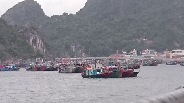  Tàu cá và sà lan về neo đậu tại khu đường bao biển, TP Hạ Long. 