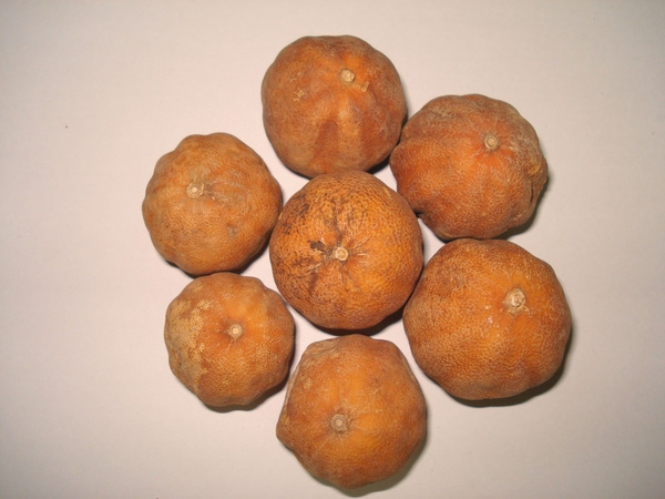 nhung-thu-ban-nen-vat-ngay-khoi-tu-lanh-de-bao-ve-suc-khoe