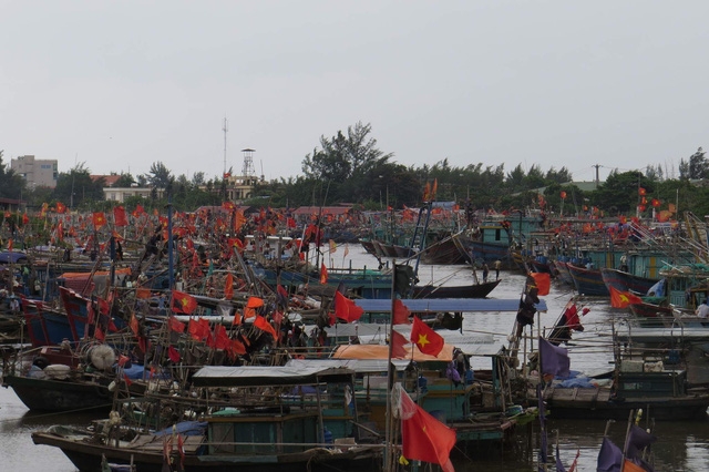  Tàu thuyền về bến tránh trú bão. 