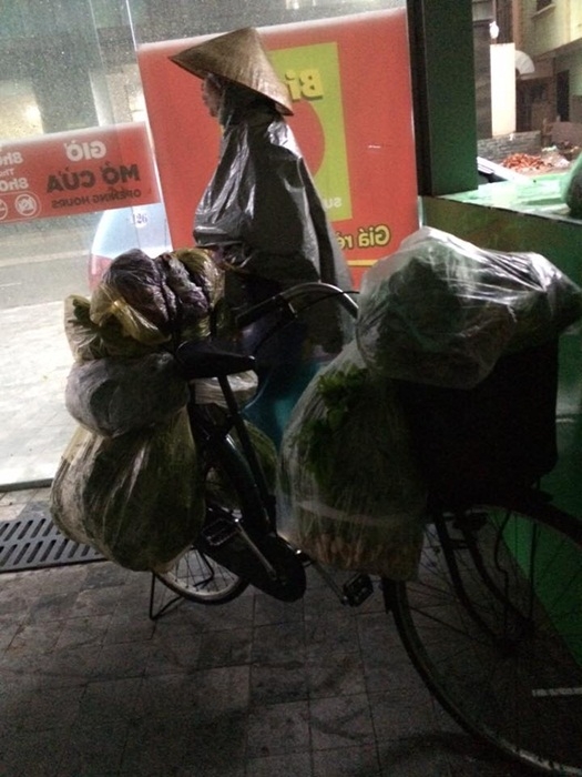 câu chuyện mưa bão, bão số 1, sự vô cảm