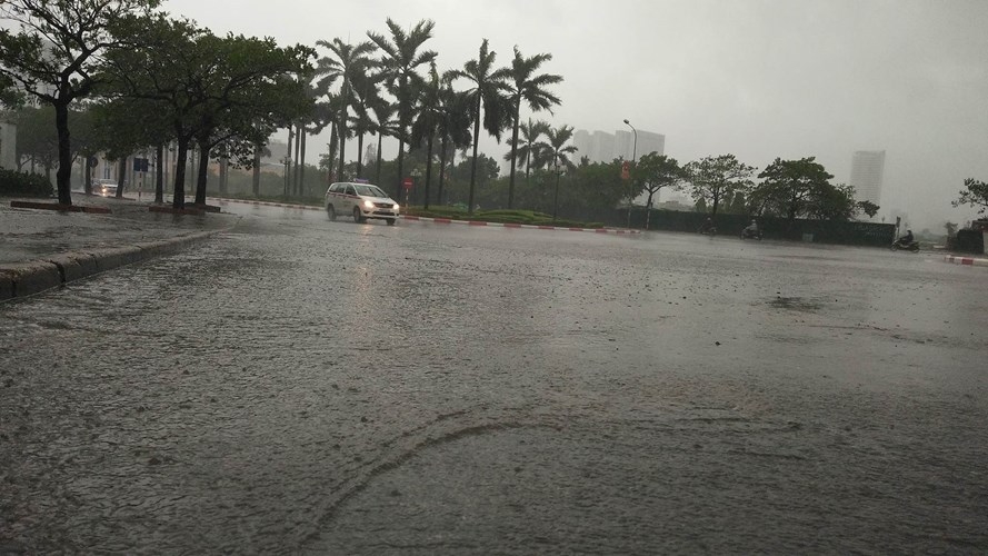 Ha Noi co gio giat cap 8-9, mua rat to, cay do nhieu noi-Hinh-6