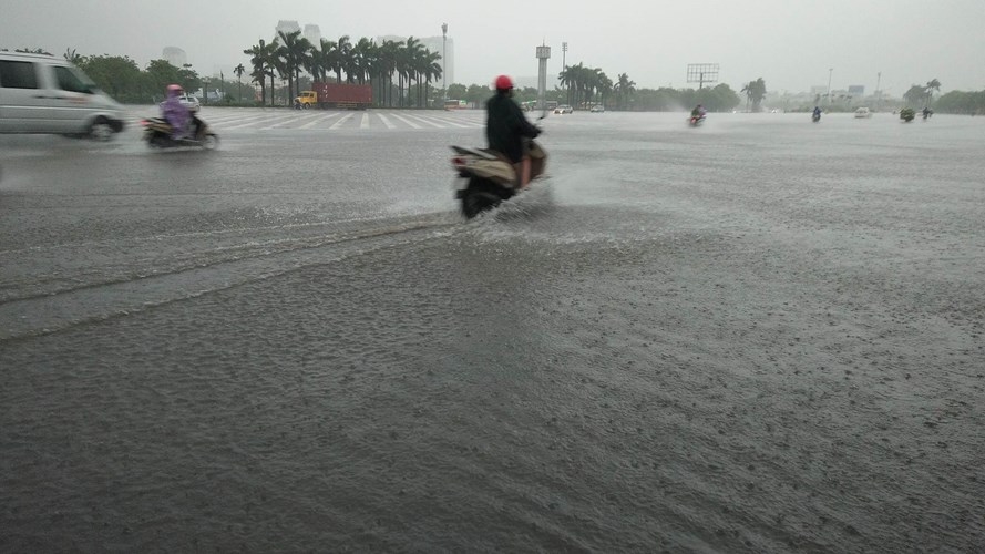 Ha Noi co gio giat cap 8-9, mua rat to, cay do nhieu noi-Hinh-7