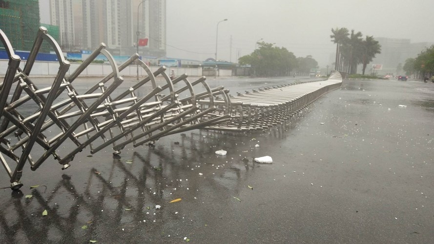 Ha Noi co gio giat cap 8-9, mua rat to, cay do nhieu noi-Hinh-8