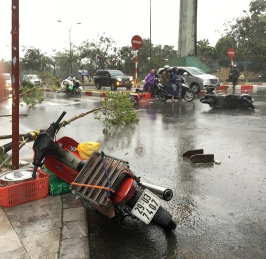  Nhiều người bỏ xe tìm chỗ trú ở gầm cầu vượt, đường trên cao 