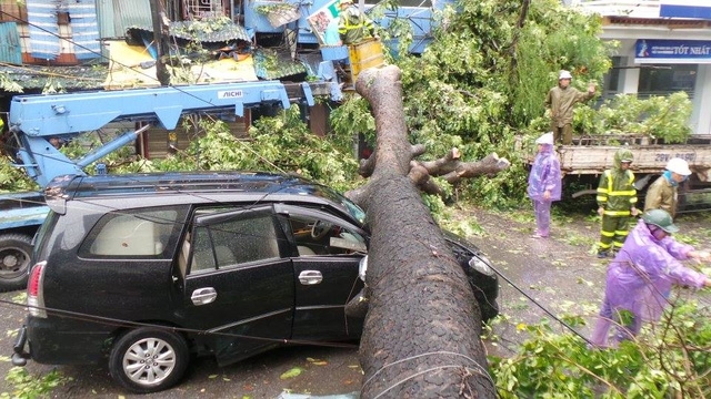  Cây đổ đè ô tô trên phố Núi Trúc trong trận bão sáng nay. (Ảnh: Tiến Nguyên) 