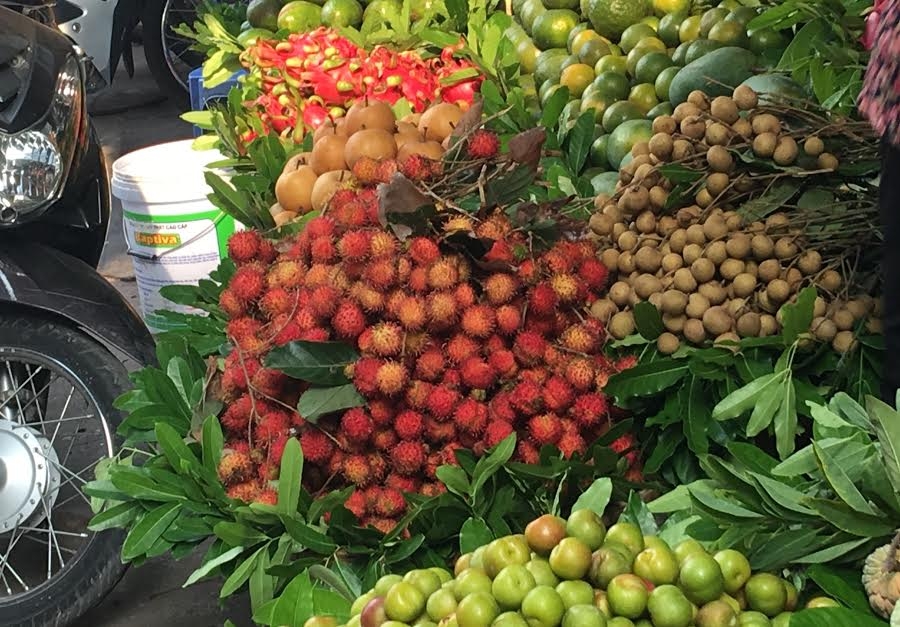 quả chôm chôm, chôm chôm đội giá gấp 8 lần, giá chôm chôm giảm mạnh, giá bán chôm chôm tại vườn, chôm chôm đồng nai