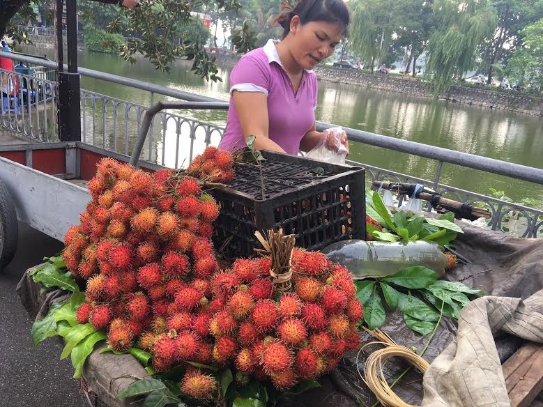 quả chôm chôm, chôm chôm đội giá gấp 8 lần, giá chôm chôm giảm mạnh, giá bán chôm chôm tại vườn, chôm chôm đồng nai