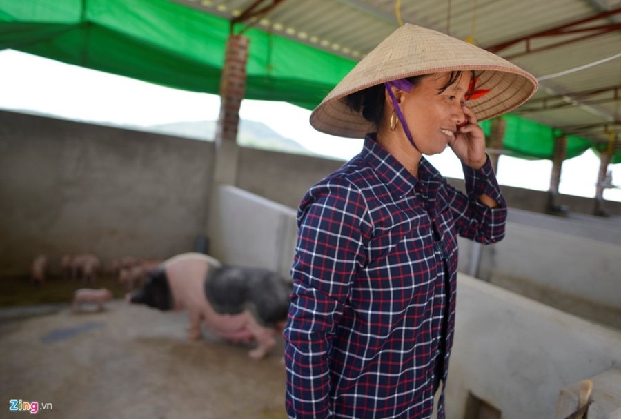 Lang nuoi ngua bach nau cao tau nha lau, xe hoi hinh anh 8