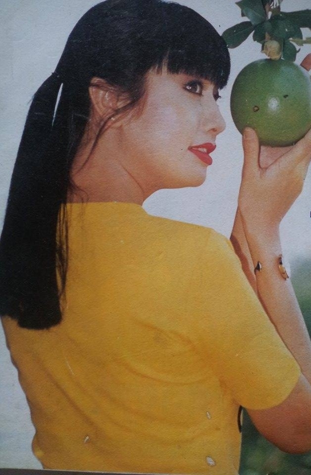 hoa hậu Lý Thu Thảo, lý thu thảo, phước sang