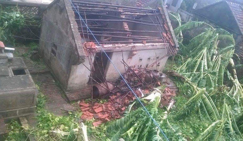 bão số 1, tin bão số 1 mới nhất, thiệt hại bão số 1, dự báo bão