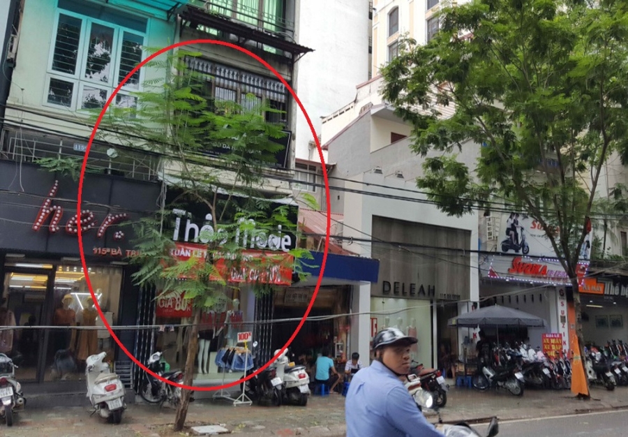 Cây khi lớn sẽ có nguy cơ lệch tán do chưa được quan tâm cắt tỉa từ nhỏ (Cây trên đường Bà Triệu - Hà Nội) - Ảnh do Tiến sĩ Hà cung cấp.
