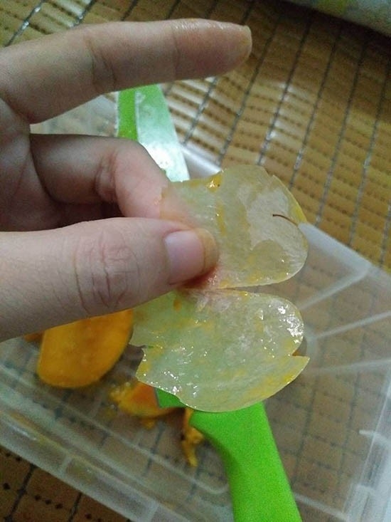 Thực hư, xoài làm bằng cao su, Trung Quốc, hàng Tàu, xoài giả, hóa chất, ung thư