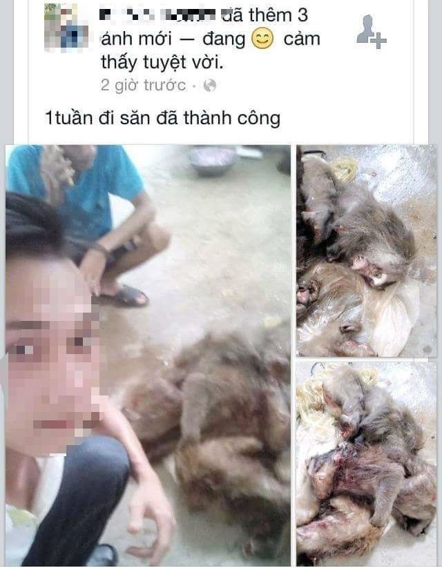So thich khoe chien tich giet dong vat len mang gay phan no hinh anh 1