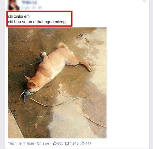So thich khoe chien tich giet dong vat len mang gay phan no hinh anh 2