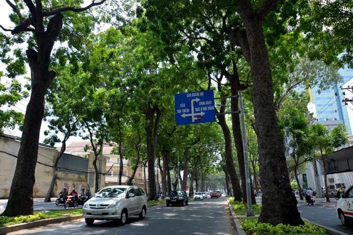 metro số 1, chặt cây, Bến Thành- Suối Tiên, đường Tôn Đức Thắng, quận 1