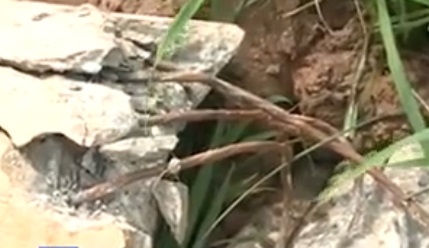 Hà Nam: Cột điện đổ hàng loạt sau bão, lộ diện những ‘bất thường’ - Ảnh 2
