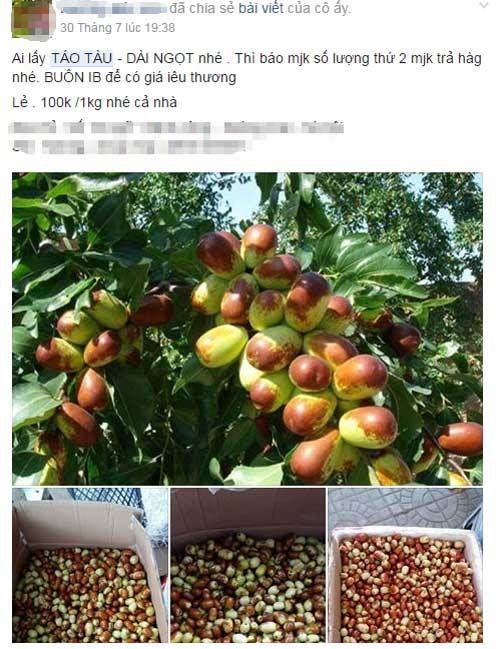 táo tàu, táo Trung Quốc, thần dược táo tàu, hoa quả Trung Quốc, hoa quả tàu, dân hà thành