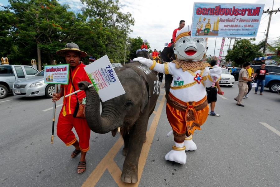 Voi di keu goi trung cau dan y o Thai Lan hinh anh 2