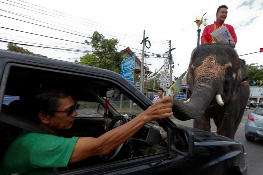 Voi di keu goi trung cau dan y o Thai Lan hinh anh 5