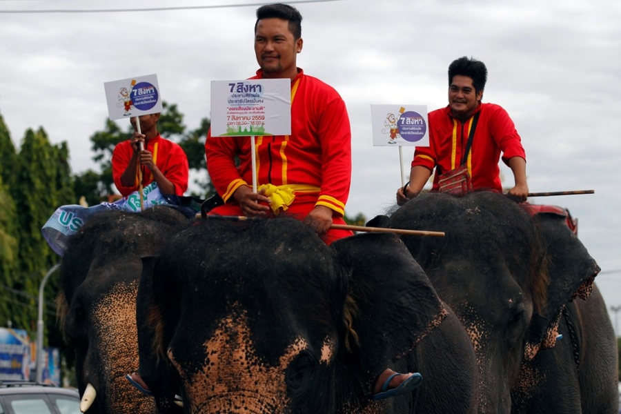 Voi di keu goi trung cau dan y o Thai Lan hinh anh 7