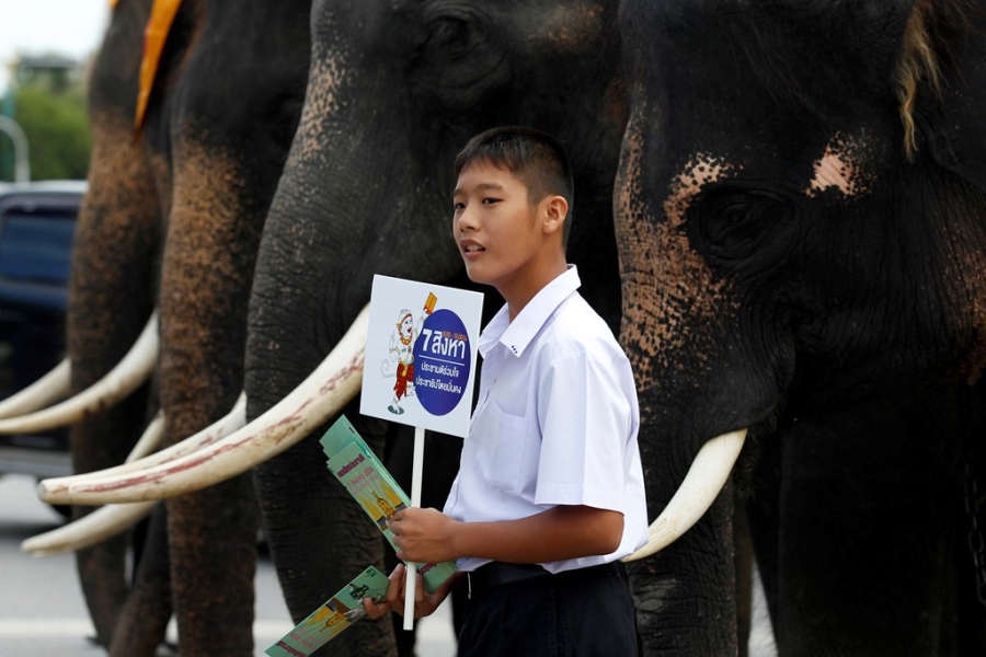 Voi di keu goi trung cau dan y o Thai Lan hinh anh 8