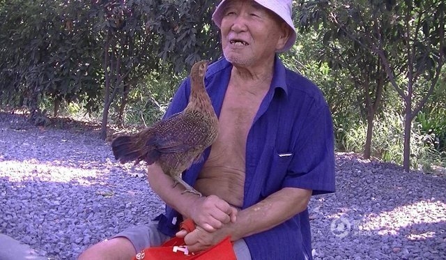 chu ga coi cu ong nhu... me, quan quyt suot ngay hinh anh 3