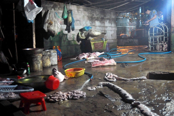 Phó GĐ Sở đi bắt quả tang 3 điểm mổ heo lậu 