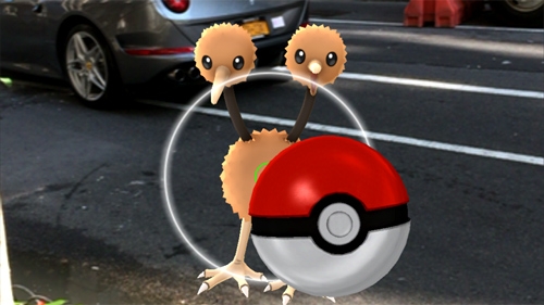 tìm Pokémon, bắt Pokémon, bắt Pokemon, Pokemon, Pokémon, cách tìm Pokemon, cách bắt Pokemon, Pokemon Go, Pokémon Go, Pokemon hoang dã, footprints, dấu chân, Incense, Lure Module, Great Balls, Ultra Balls, Master Balls,