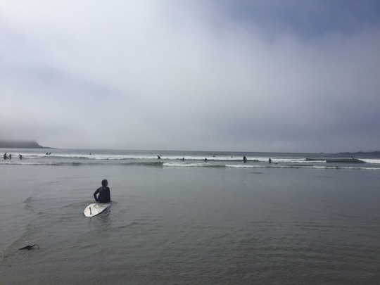  ...và lướt sóng. Ảnh: Ocean Outfitters, Nikole Read 