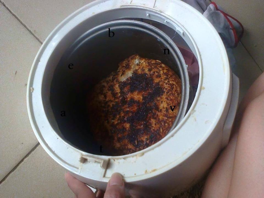nàng dâu, nàng dâu mới, nhà chồng, hình ảnh mâm cơm, canh cua nguyên con, vịt trụi lông
