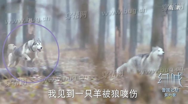 Phim Trung Quoc khoe ky xao tam Hollywood bi soi nhieu loi hinh anh 10