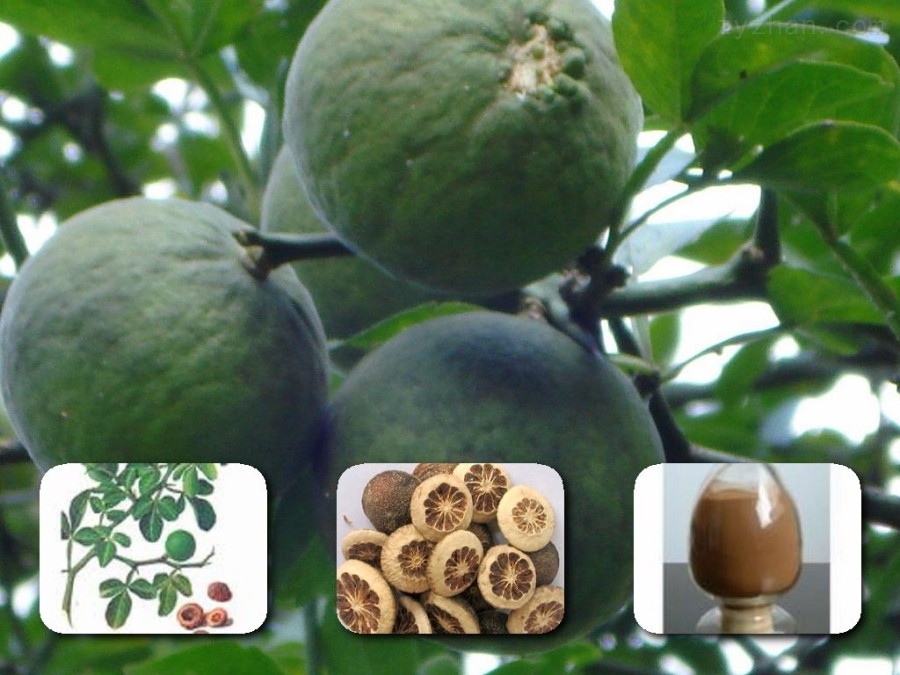 Bài thuốc chữa dạ dày khiến bệnh nhân mừng như bắt được vàng - Ảnh 6.