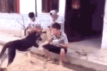 Phan tich buc anh GIF gay tranh cai nhat the gioi hinh anh 1
