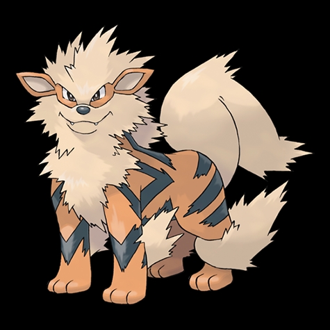 Pokemon, chơi Pokemon Go giỏi nhất, chơi Pokemon Go, Poké ball mạnh nhất, dụ Pokemon, Gyarados, Blastoise, Dragonite, Abra, Pokemon cứng đầu nhất, tỷ lệ bắt trúng Pokemon, Pokemon Go