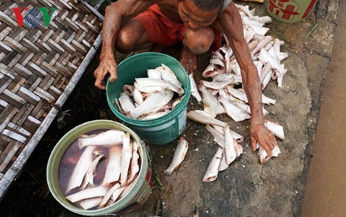 thanh hoa: thiet hai do mua lu uoc tinh 125 ty dong hinh 0
