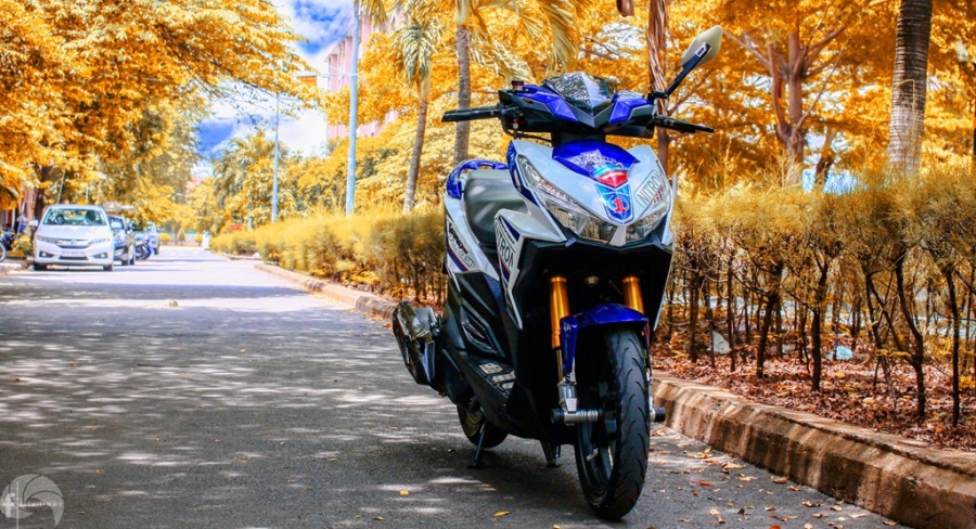 Honda Vario do do choi hang hieu hinh anh 2