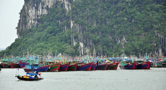  Tàu thuyền ở Quảng Ninh về nơi tạm trú an toàn 